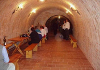 Stylish wine-cellar